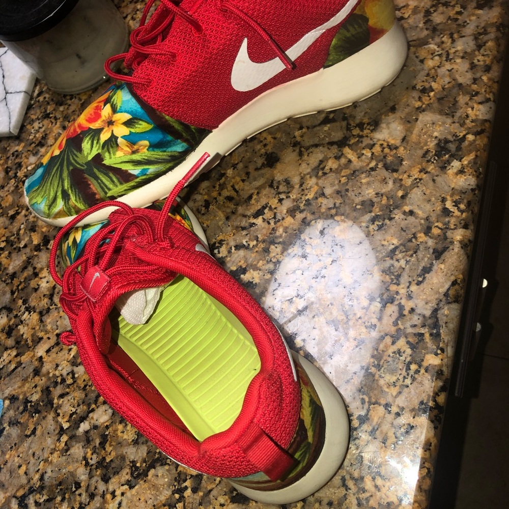 Hibiscus Roshe